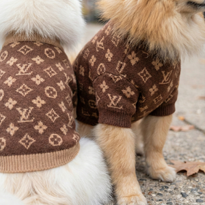Chewy V Classic Sweater - Hype Pups designer dog clothes