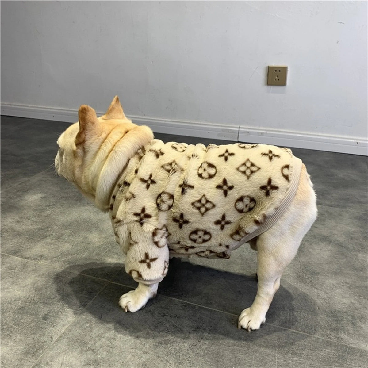 Chewy V Plush Pullover on a dog