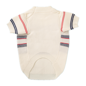 Back view of cream papillon dog sweater with navy and red trim sleeves