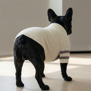 Dogior Papillon Sweater