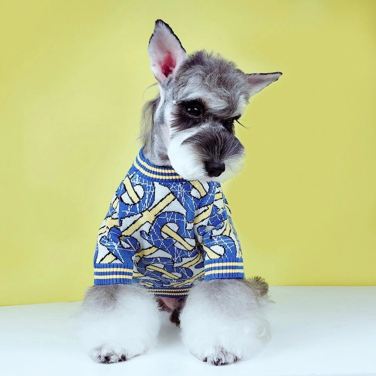 Furberry Monogram Sweater Vest on a dog