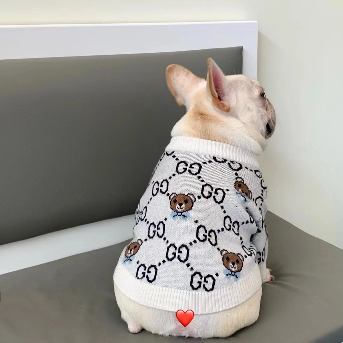 Pawcci Teddy Bear Sweater on a dog