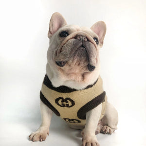 Pawcci Large Monogram Sweater on a dog