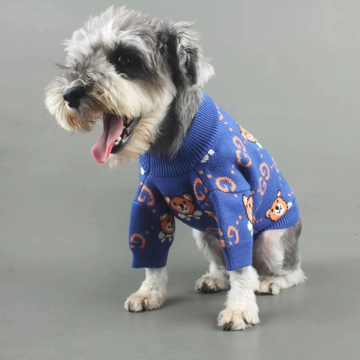 Pawcci Blue Teddy Sweater on a dog