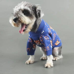 Pawcci Blue Teddy Sweater on a dog