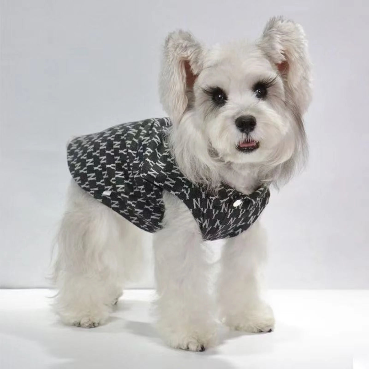 Navy NY Monogram Vest on a dog