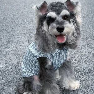 Dogior Denim Tweed Vest on a dog
