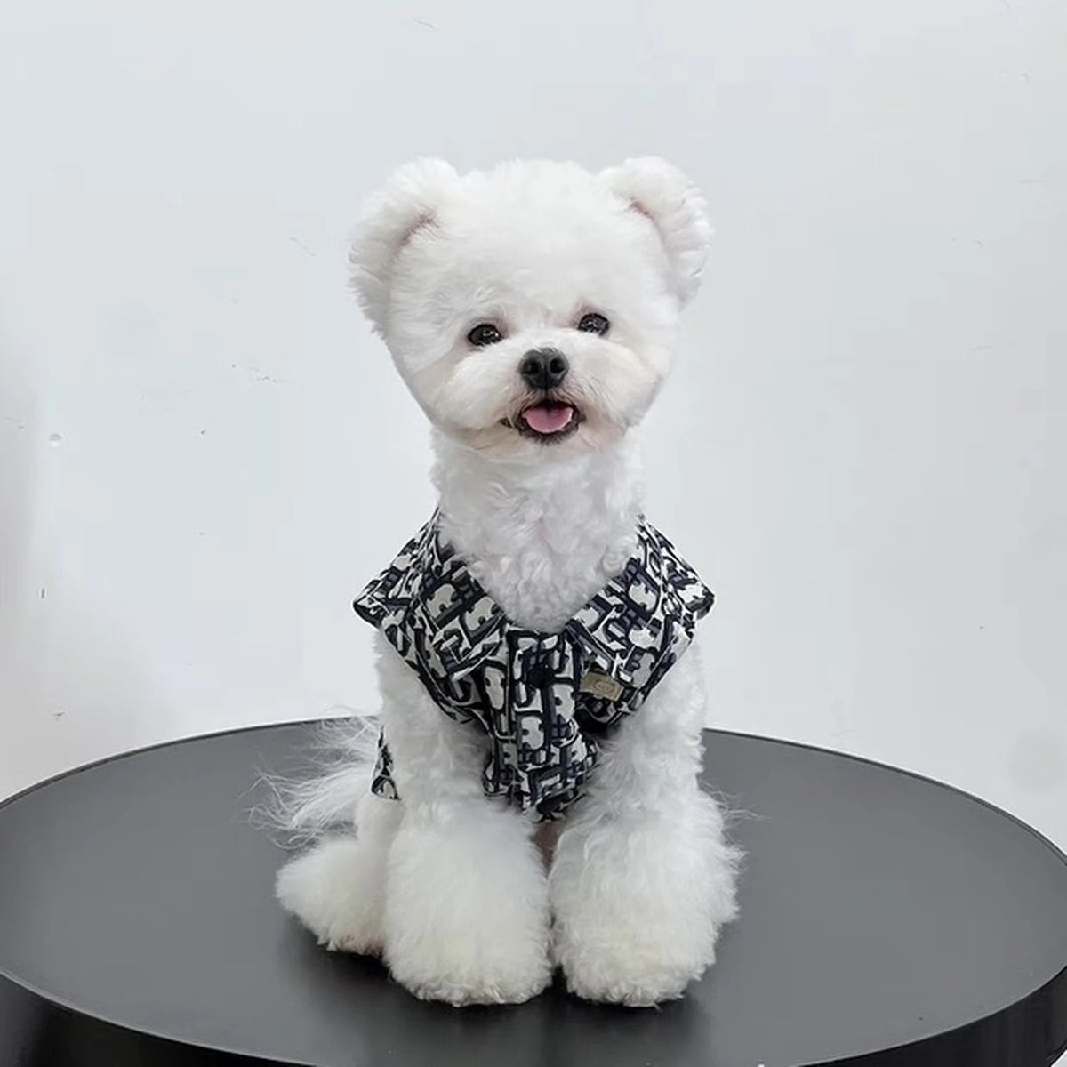 Dogior Navy Collared Vest on a dog