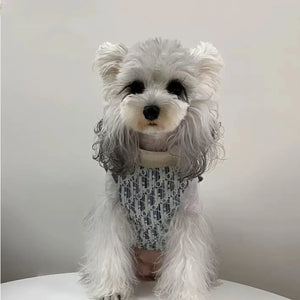 Dogior Patch Pocket Vest on a dog