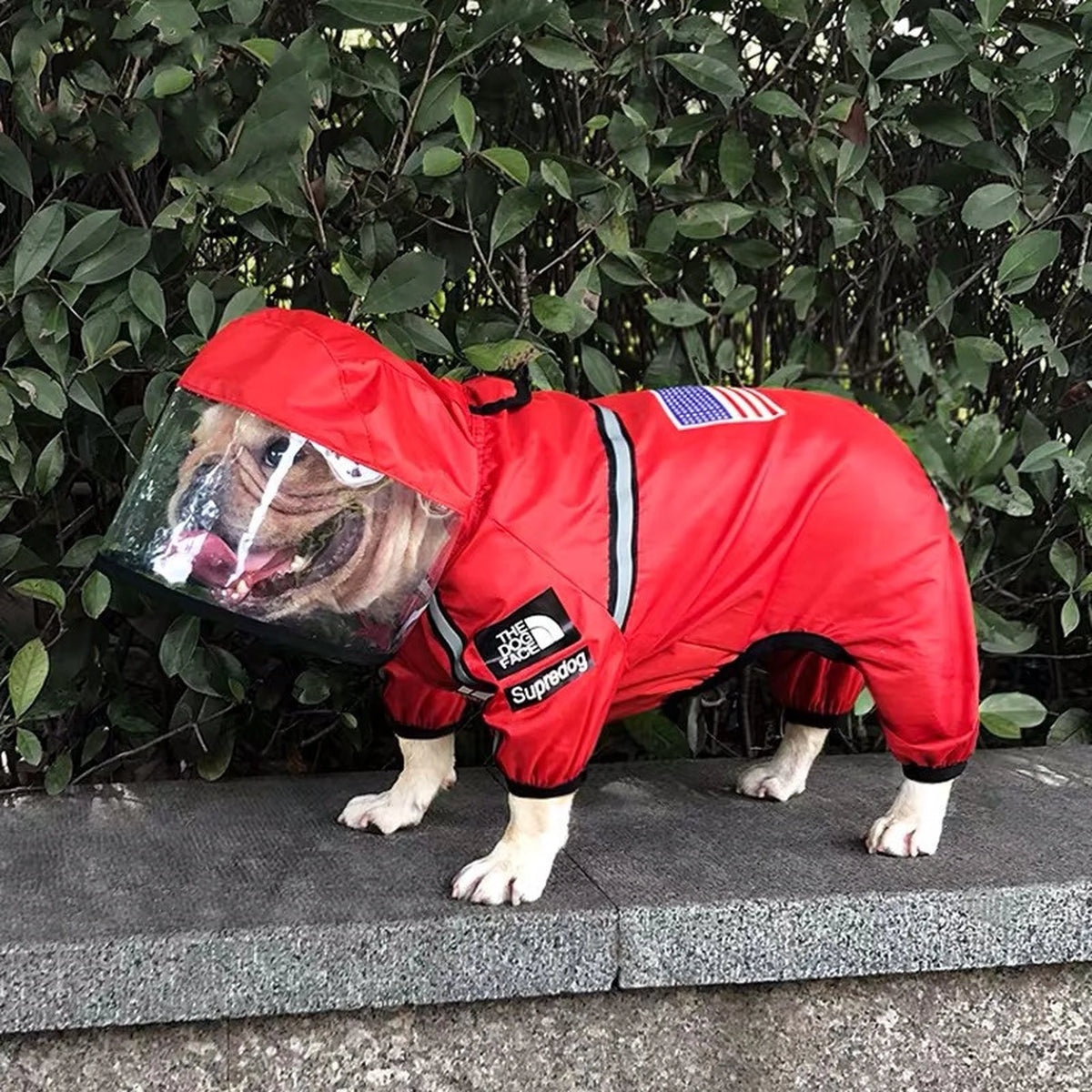 TDF Reflective Rainsuit on a dog