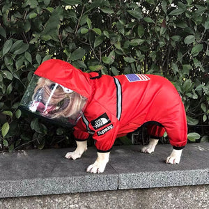 TDF Reflective Rainsuit on a dog