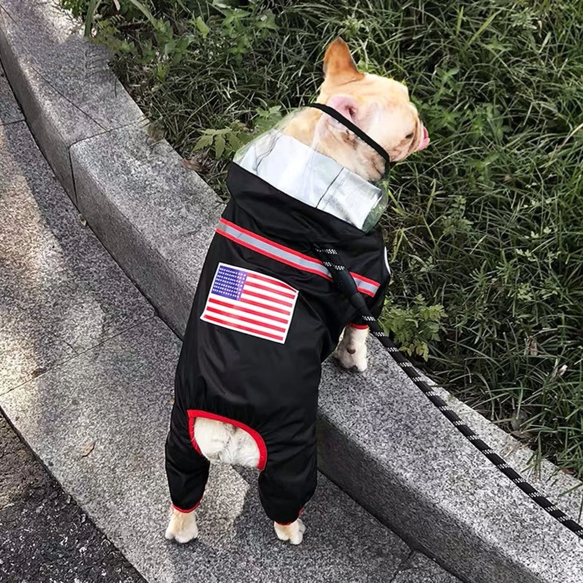 TDF Reflective Rainsuit on a dog