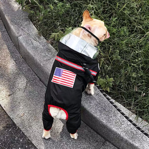 TDF Reflective Rainsuit on a dog
