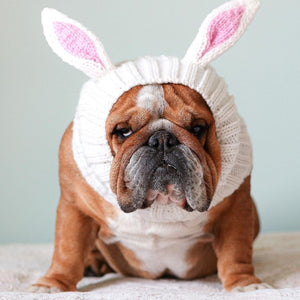 Knit Animal Hat Collection