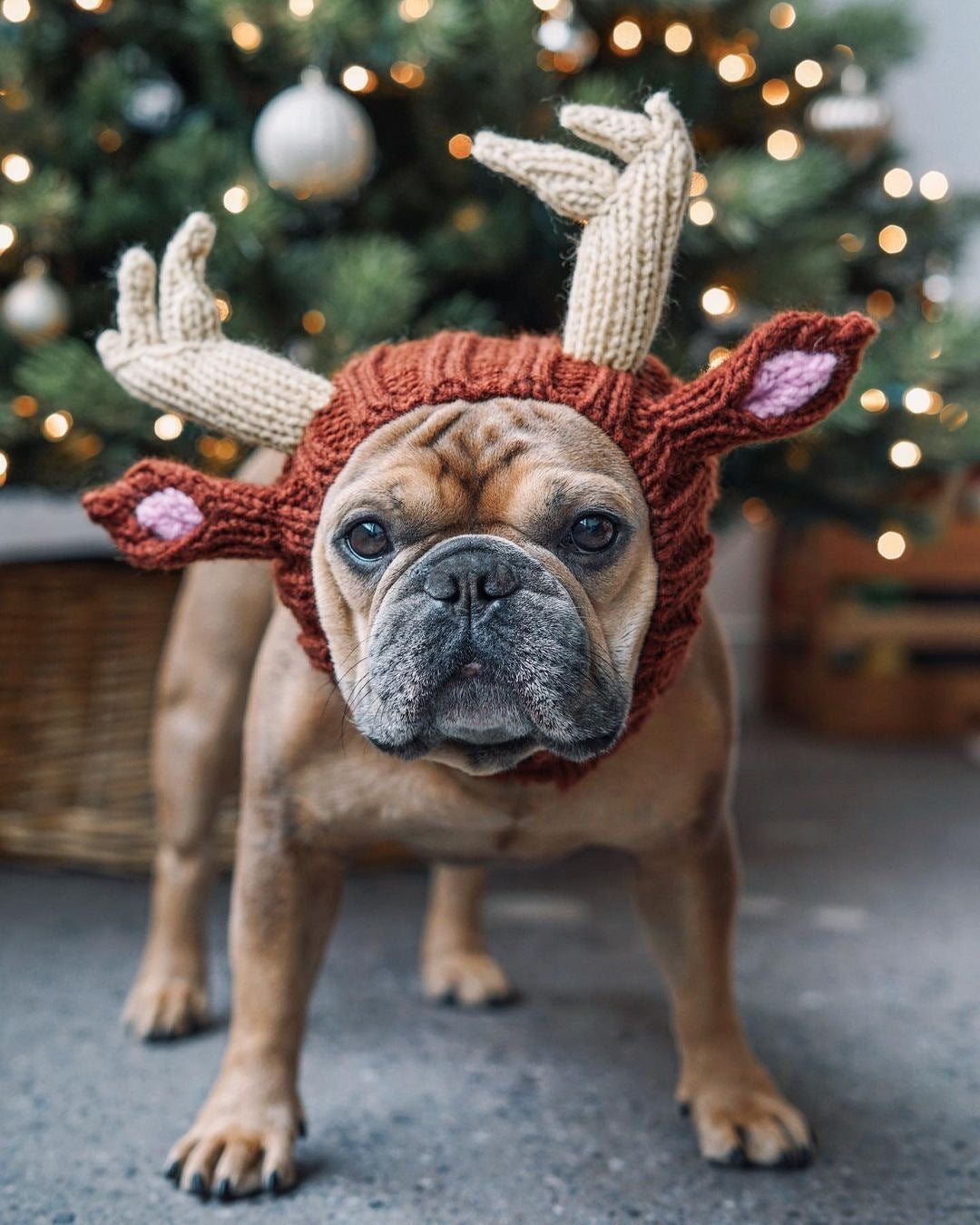 Knit Animal Hat Collection