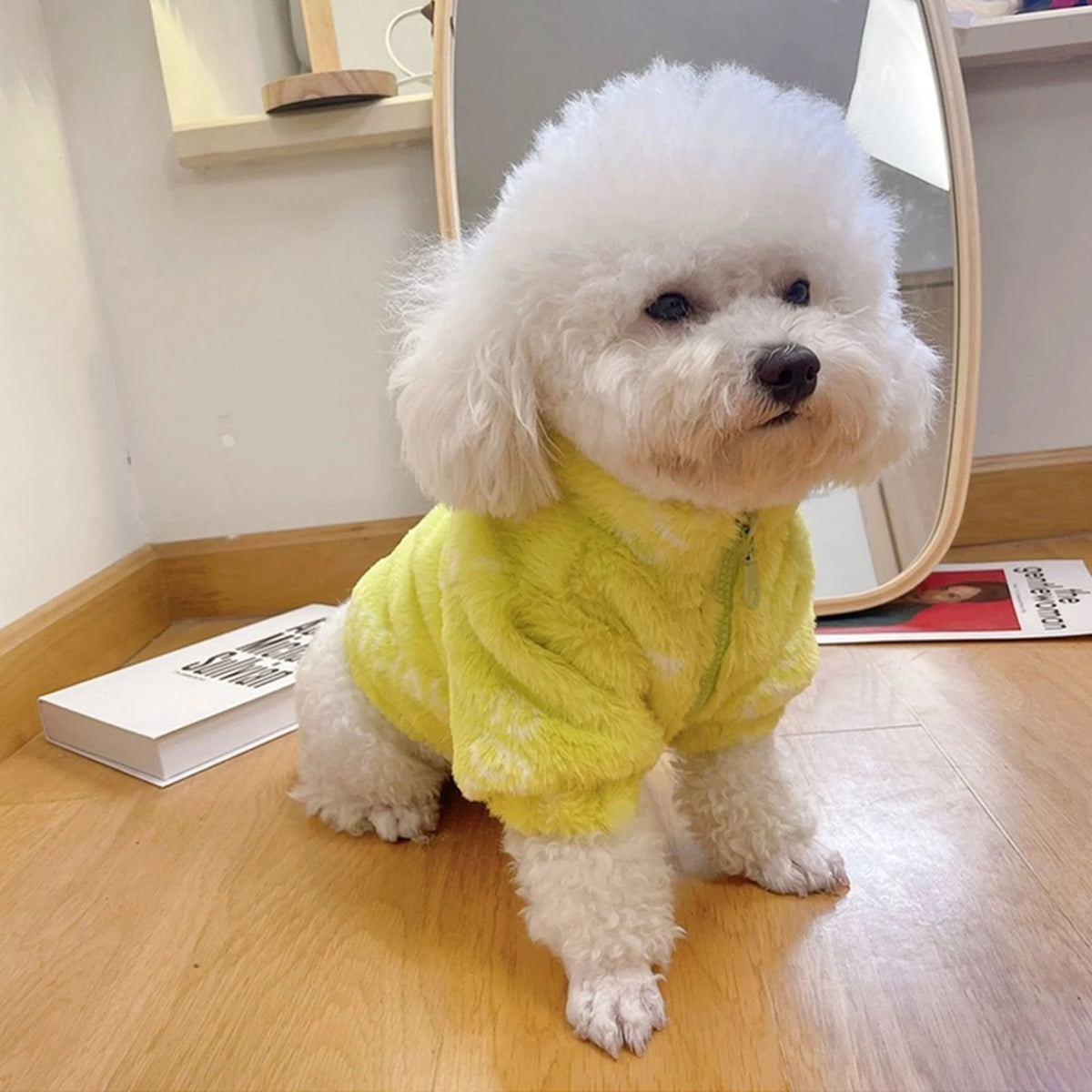 Pawlenciaga Neon Faux Fur Jacket on a dog