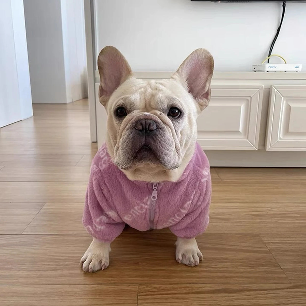 Pawlenciaga Neon Faux Fur Jacket on a dog
