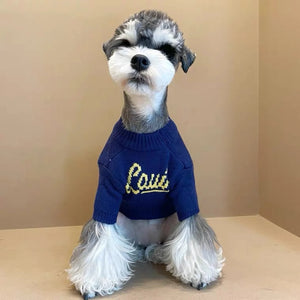Chewy V Heart Sweater on a dog