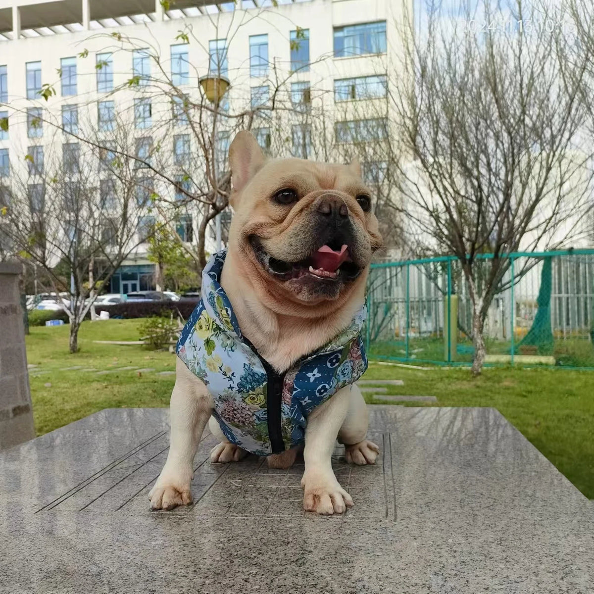 Chewy V Floral Patchwork Vest on a dog