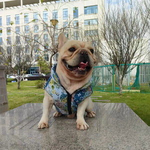 Chewy V Floral Patchwork Vest on a dog