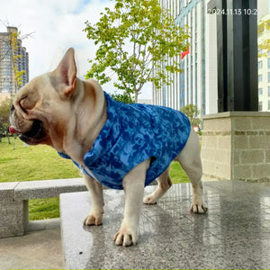 Chewy V Blue Camo Vest on a dog