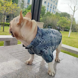 Chewy V Denim Print Puffer on a dog