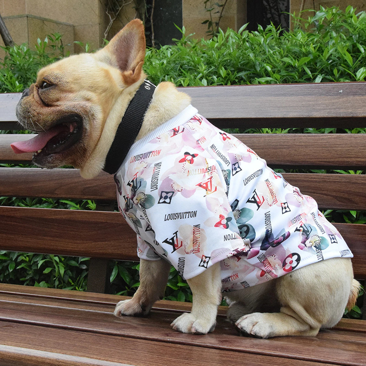 Chewy V Watercolor Floral Tee on a dog