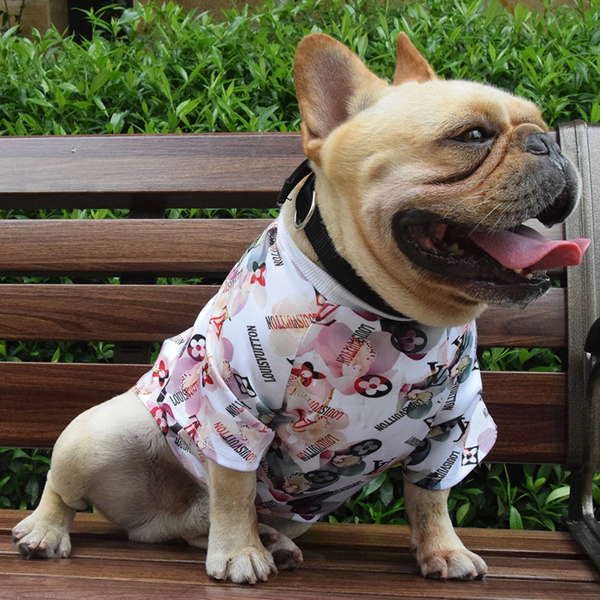 Chewy V Watercolor Floral Tee on a dog
