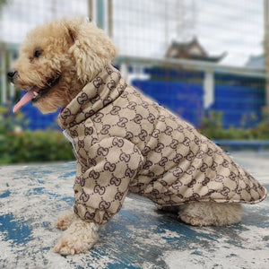 Pawcci Monogram Puffer Jacket on a dog