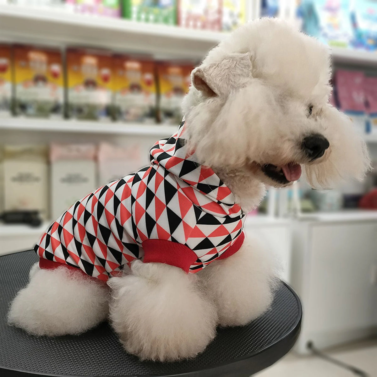 Pawda Triangle Print Hoodie on a dog