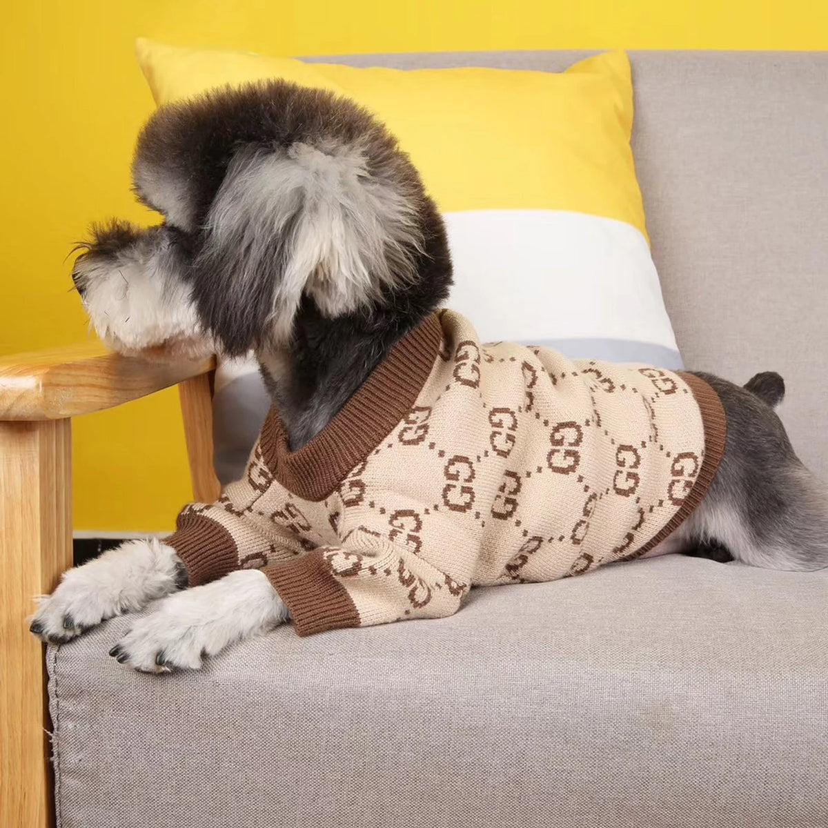 Pawcci Tan Monogram Sweater on a dog
