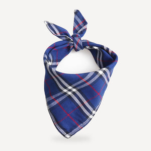 Check dog bandana inspired by Burberry view 5