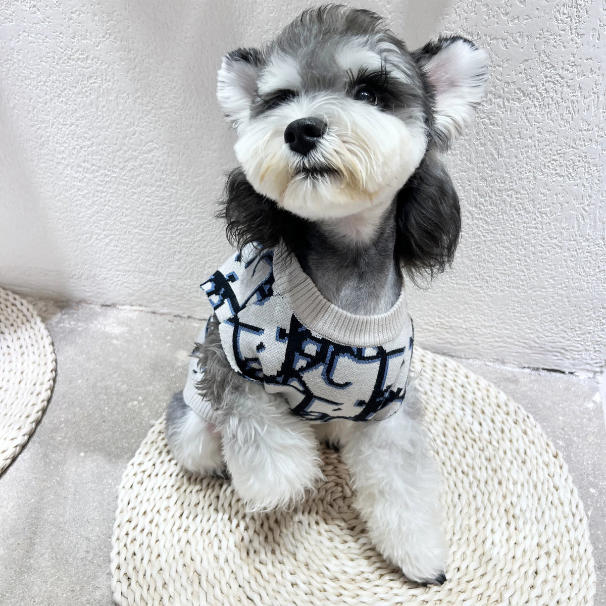 Dogior Cream Oblique Sweater Vest on a dog
