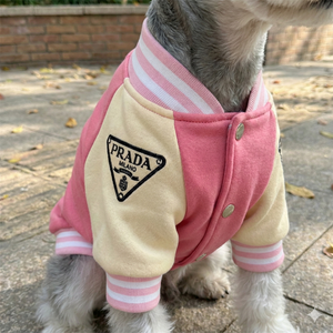 Pawda Varsity Bomber Jacket