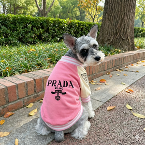Pawda Varsity Bomber Jacket