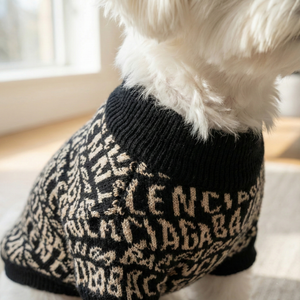 Pawlenciaga Logo Repeat Sweater