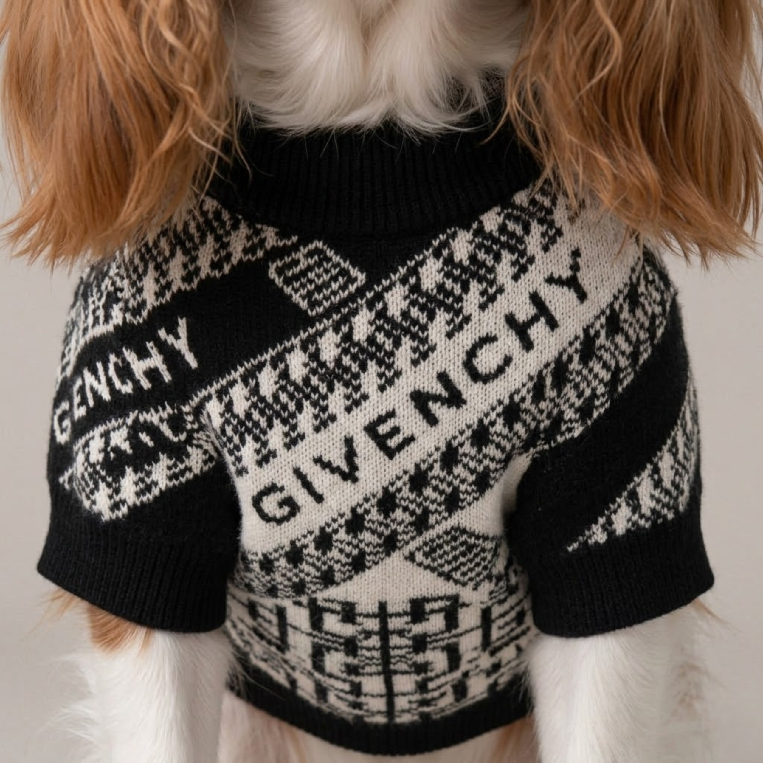 Pawvenchy Monogram Sweater
