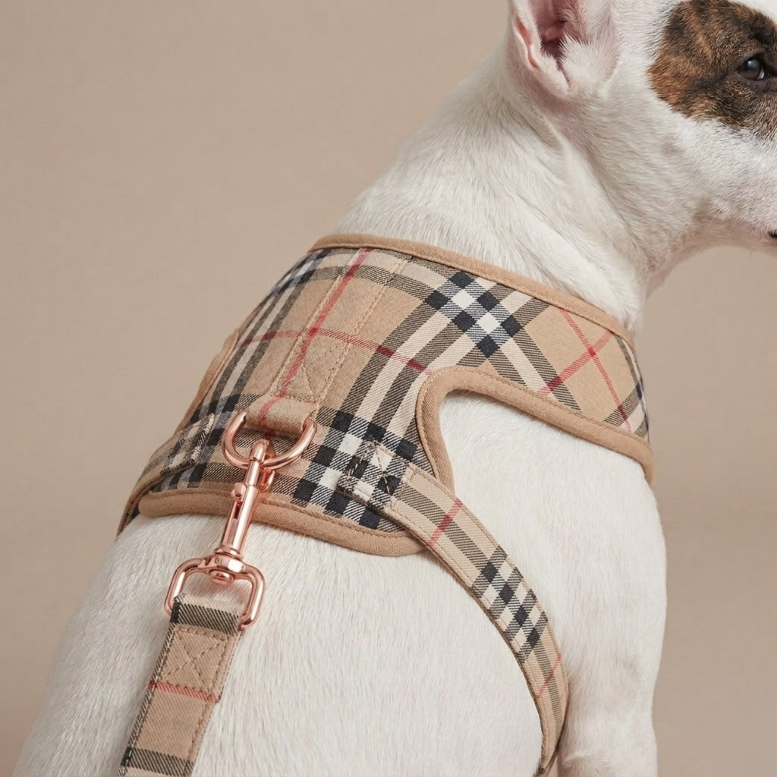 Furberry Plaid Harness Set
