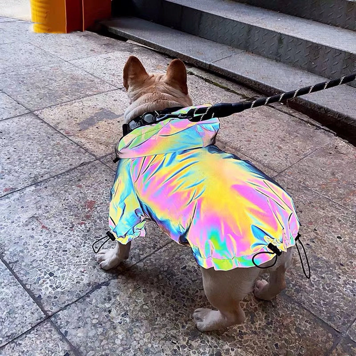 Pupreme Reflective Hooded Jacket on a dog