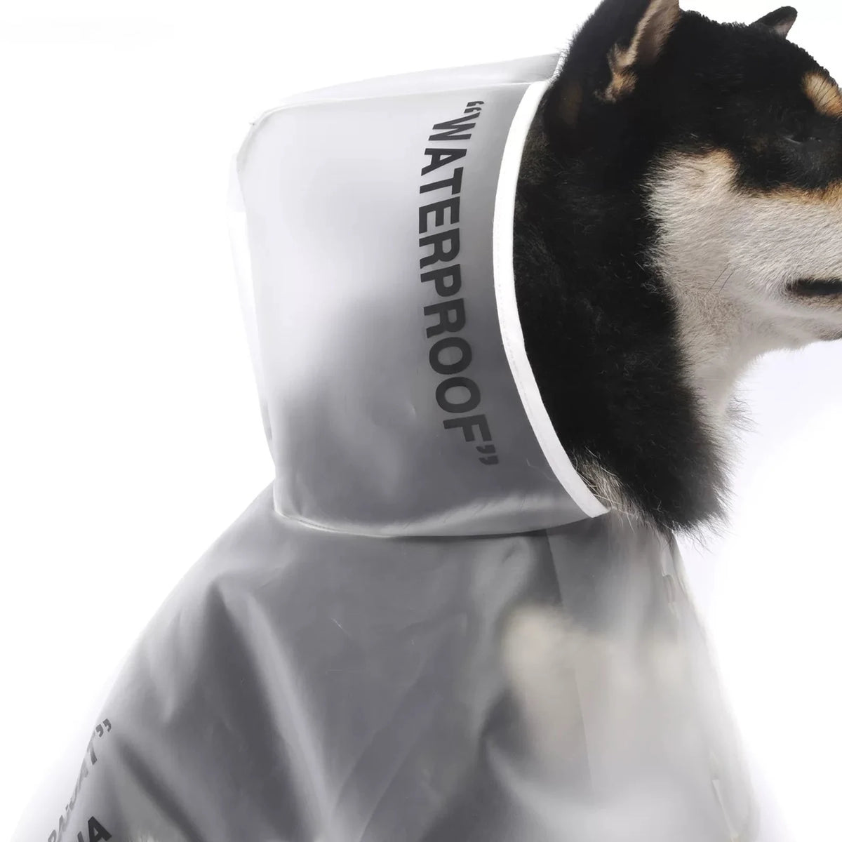 Woof-White Clear Raincoat detail