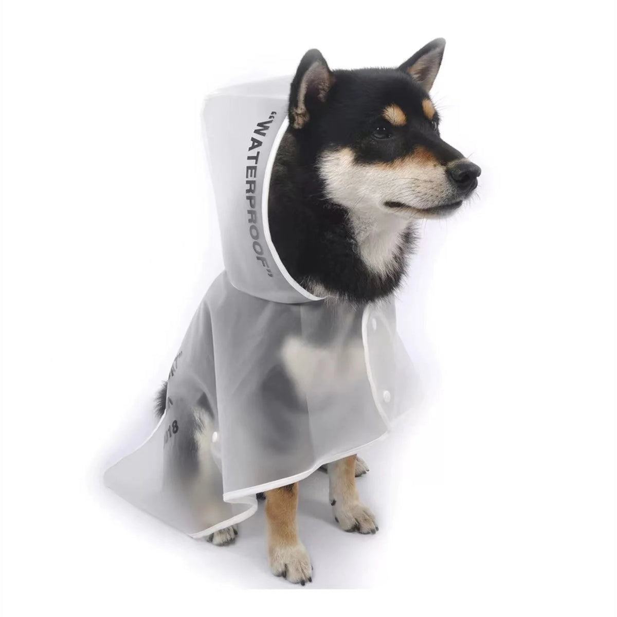 Woof-White Clear Raincoat on a dog