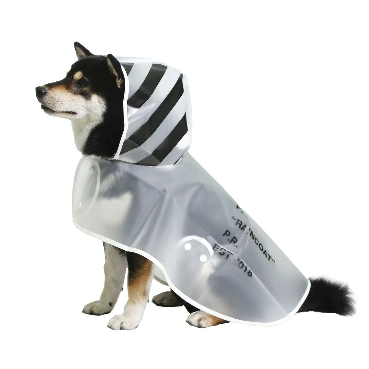 Woof-White Clear Raincoat on a dog
