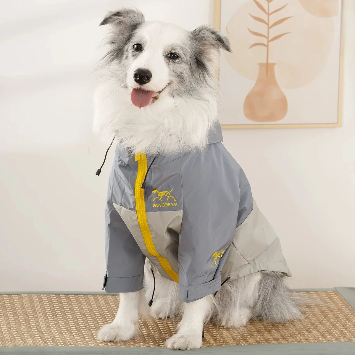 Bark'teryx Hooded Raincoat on a dog
