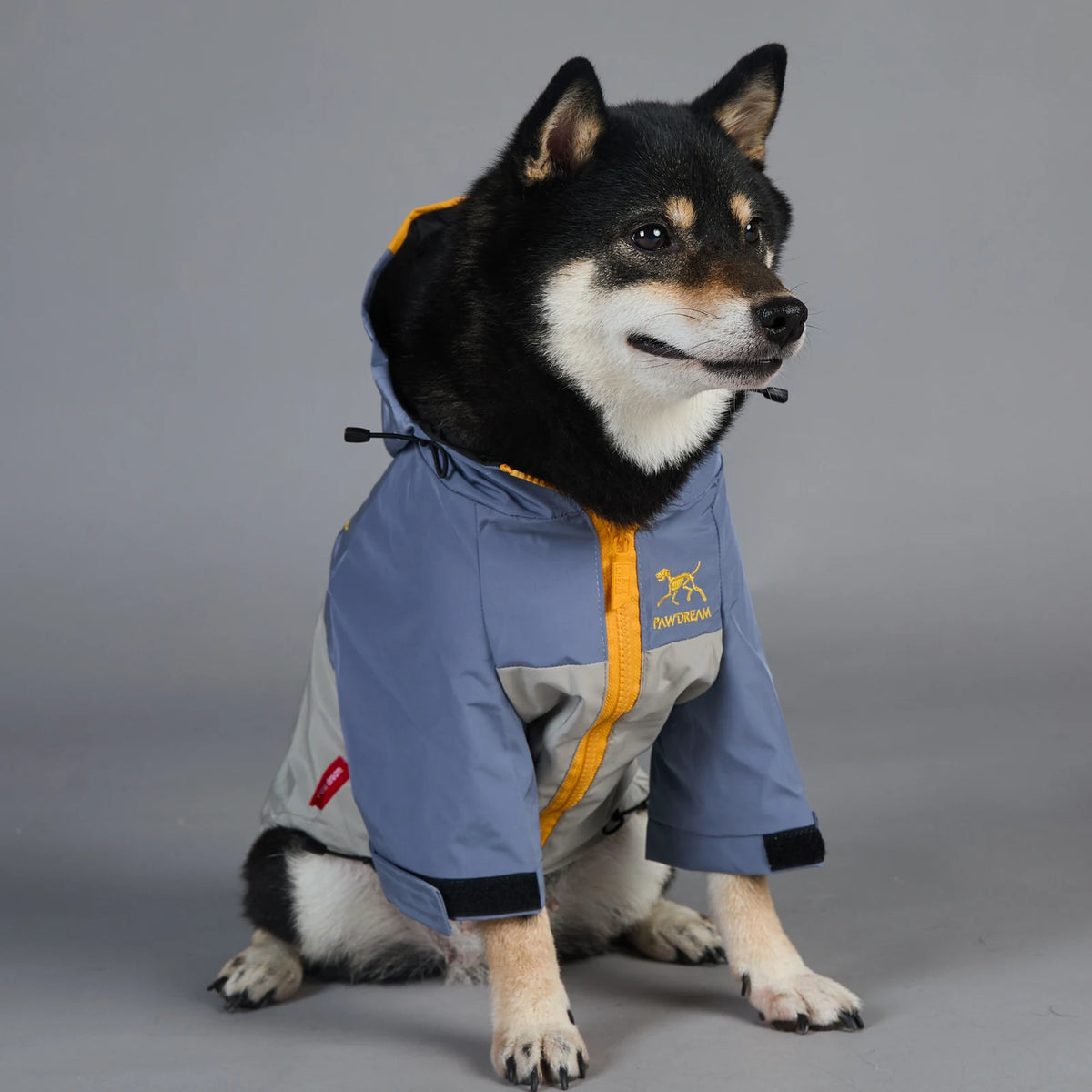 Bark'teryx Hooded Raincoat on a dog