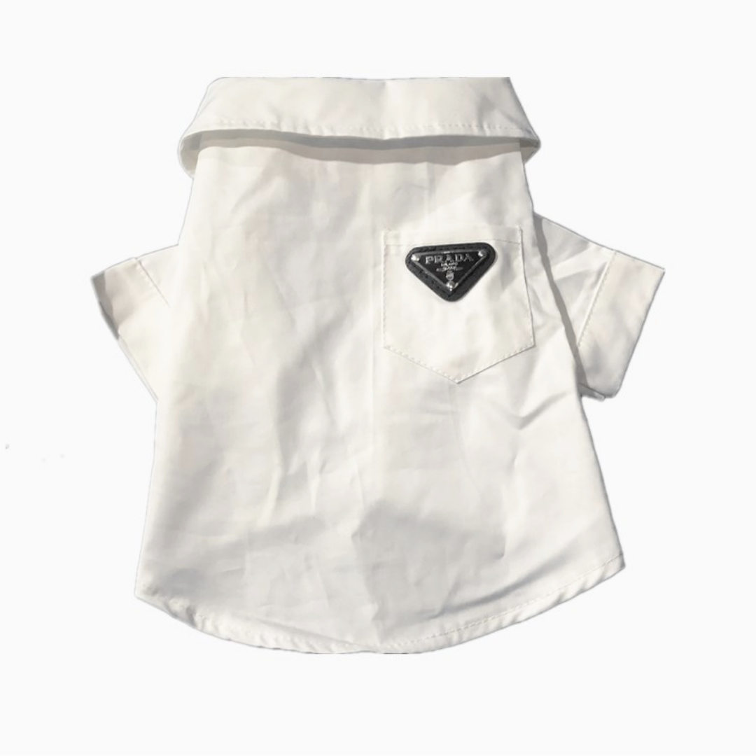 White collared dog shirt Prada style with structured collar and chest pocket
