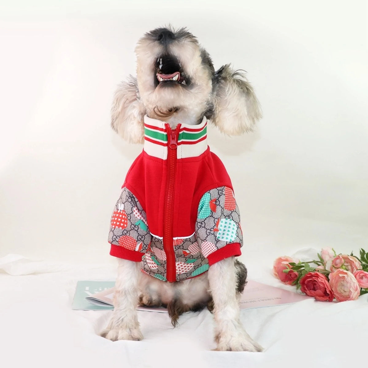 Pawcci Apple Track Jacket on a dog