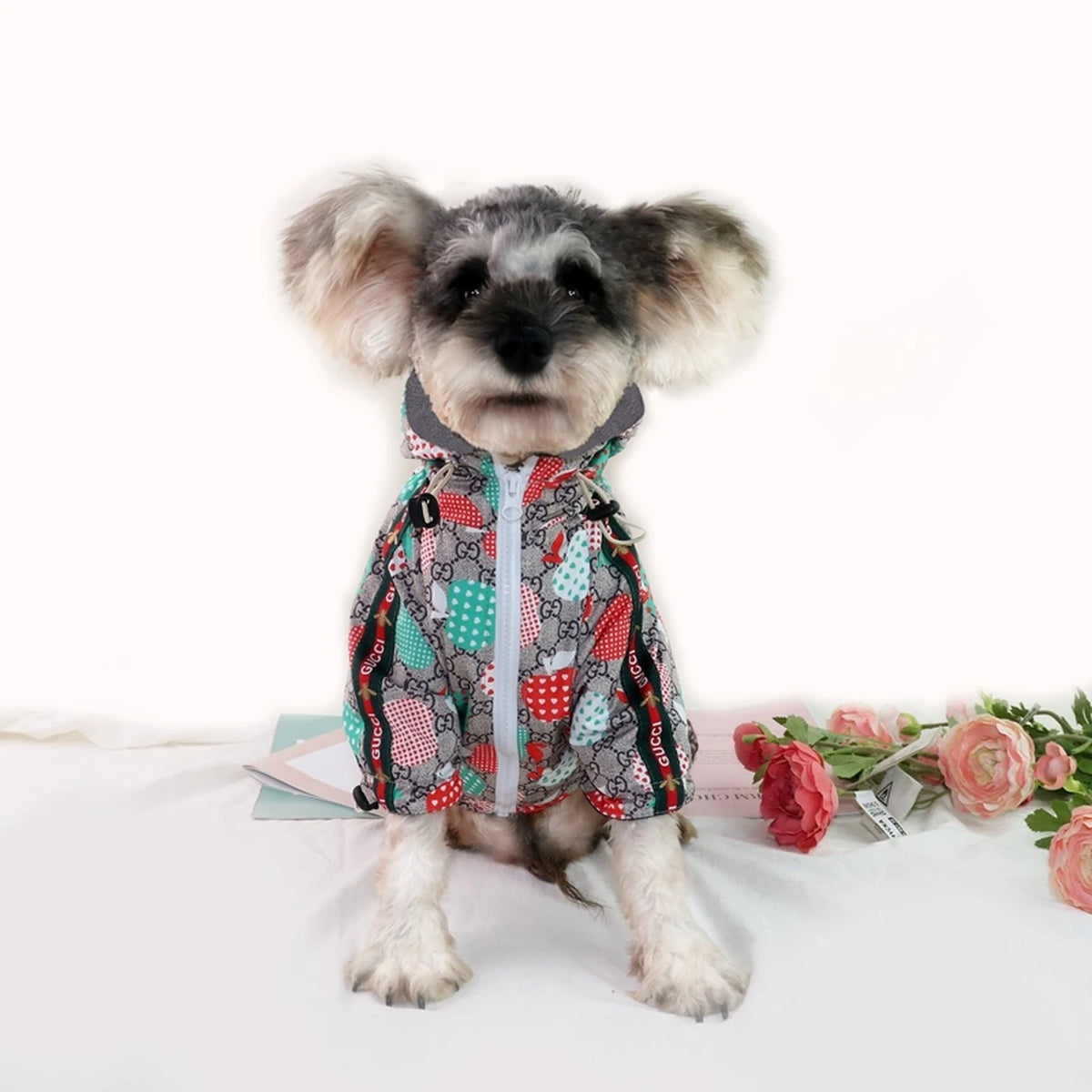 Pawcci Apple Windbreaker on a dog