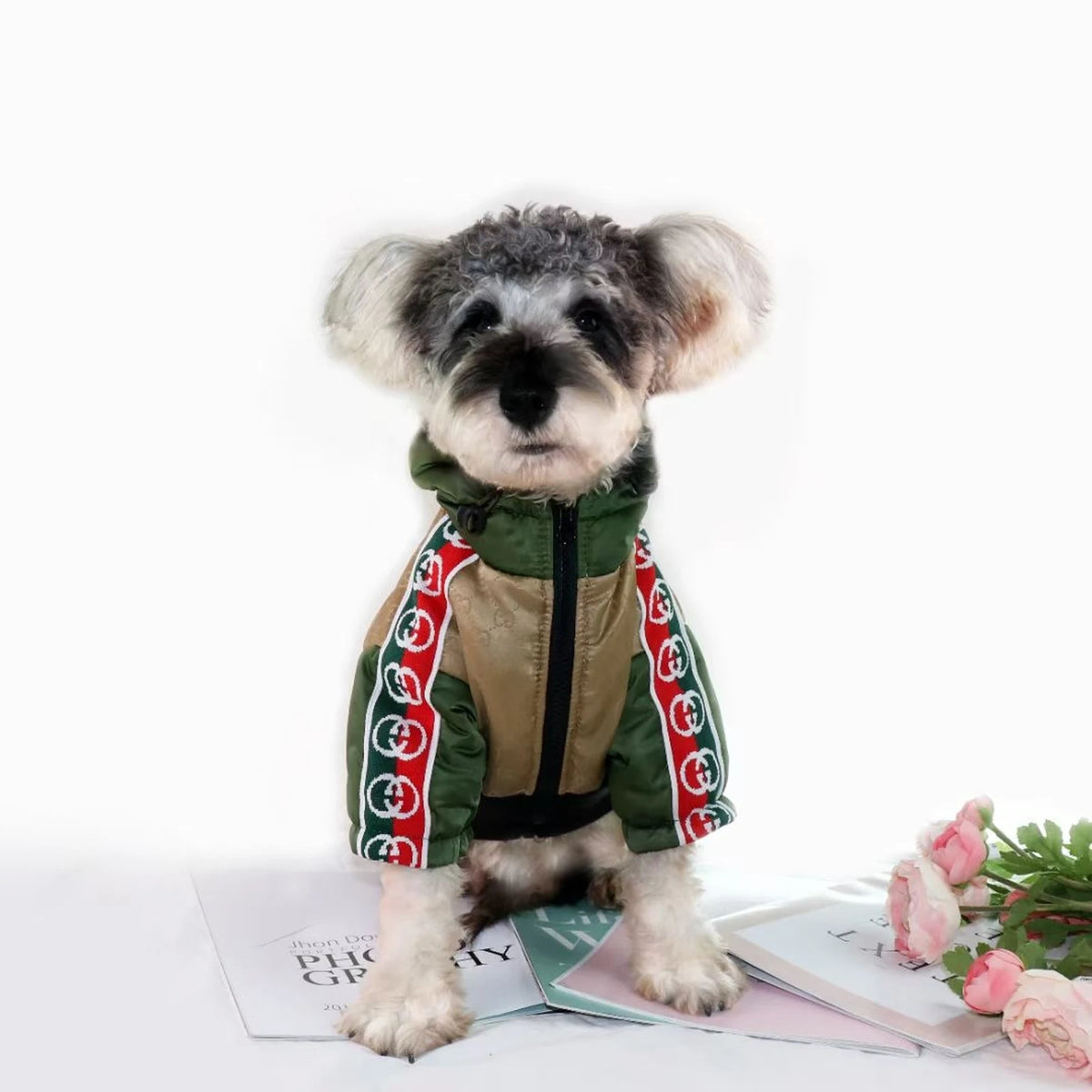 Pawcci Color Block Hooded Jacket on a dog