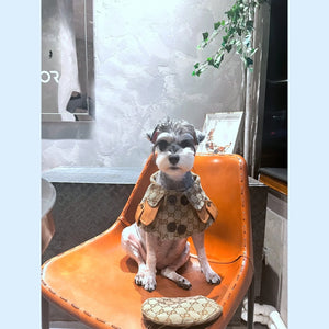 Pawcci Cape & Beret Set on a dog