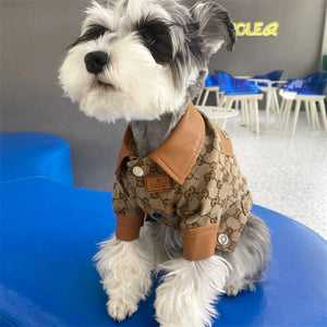 Pawcci Leather Trim Trucker Jacket on a dog